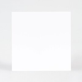 vierkante enkele eigen ontwerpkaart van mat papier TA0330-1800022-15 2