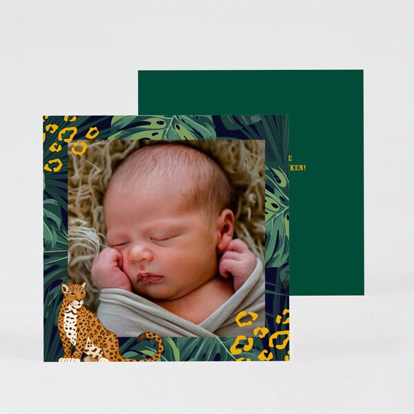 geboorte-bedankkaartje-jungle-TA0517-2000001-15-1