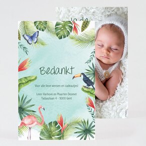 tropisch-geboorte-bedankkaartje-TA0517-2000002-15-1