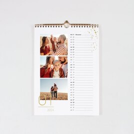 prachtige jaarkalender met goudfolie en foto s TA0884-2100007-15 1