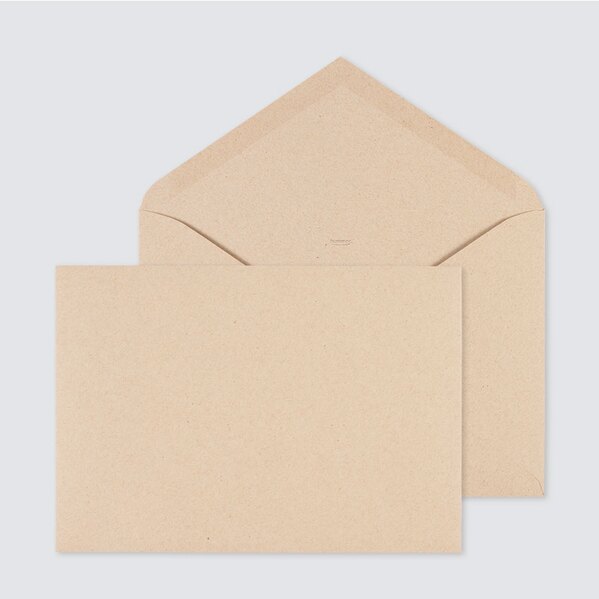 bruine eco enveloppe 22 9 x 16 2 cm TA09-09010201-15 1