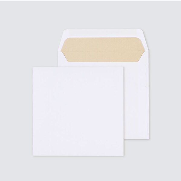 vierkante-envelop-met-gouden-voering-17-x-17-cm-TA09-09091503-15-1