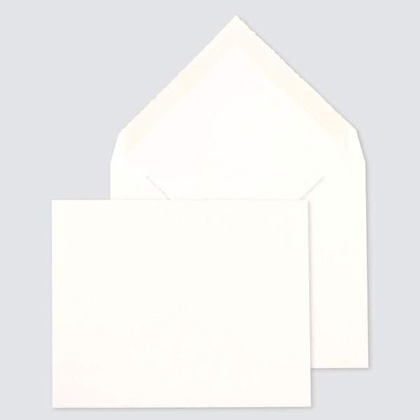 oud hollandse enveloppe liggend TA09-09305901-15 1