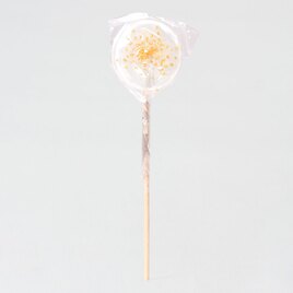 ambachtelijke lolly wit met gouden spikkeltjes TA13981-2100002-15 2