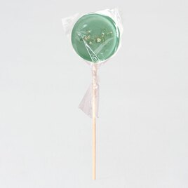 ambachtelijke mintgroene lolly met gipskruid TA13981-2200004-15 2