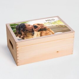 houten kist met klapdeksel foto en tekst TA14822-2300007-15 1