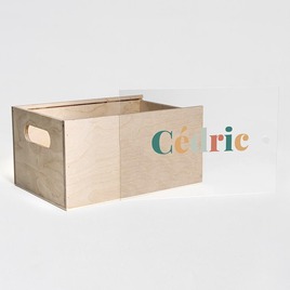 memorybox hout met acryl deksel met kleurrijke naam TA14822-2400007-15 2