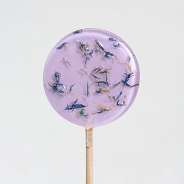 paarse lolly met gedroogde bloemen TA283-517-15 1
