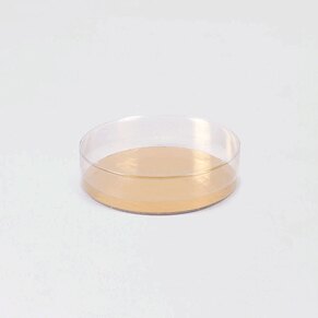 transparante-ronde-doosjes-TA392-102-15-1