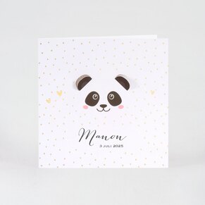 geboortekaartje-panda-met-vrolijke-confetti-buromac-507009-TA507-009-15-1