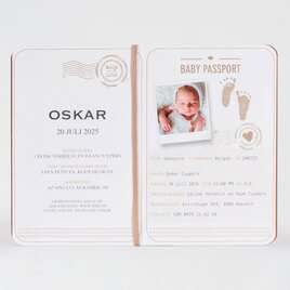 geboortekaartje baby paspoort buromac 589024 TA589-024-15 2