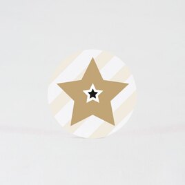 sluitzegel gouden ster TA876-105-15 1